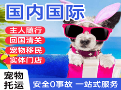 查干湖航空运输国际宠物托运 【国